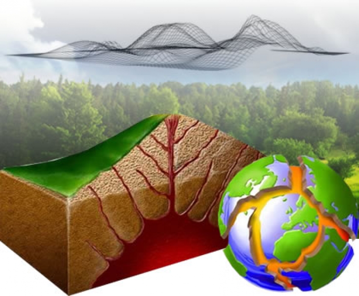 Bio Sustent - Serviços
