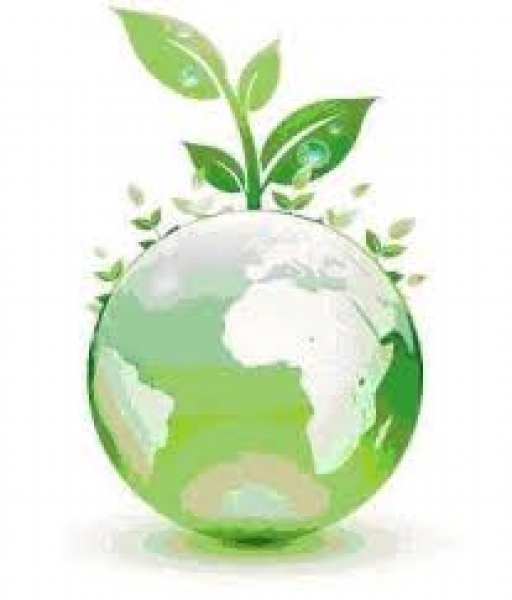 Bio Sustent - Serviços